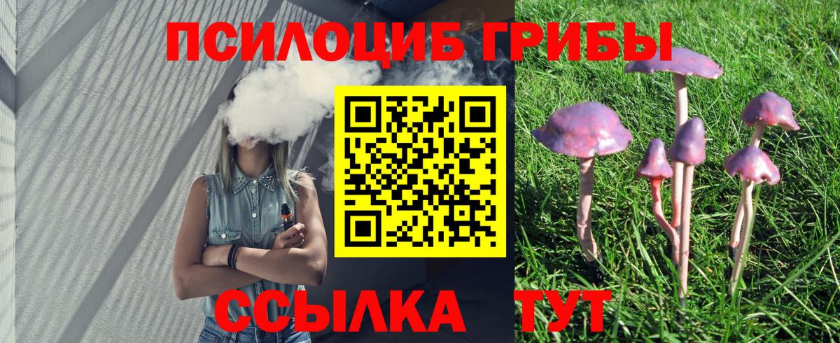 продажа наркотиков  Вход с VPN  Лесосибирск  Галлюциногенные грибы мухоморы 